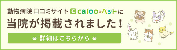 カルーペットバナー