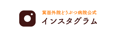 インスタグラム