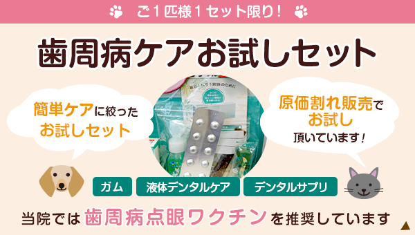 『歯周病ケアお試しセット』簡単ケアに絞ったお試しセットです。原価割れ販売でお試し頂いてます。ご1匹様1セット限りでお願い致します。