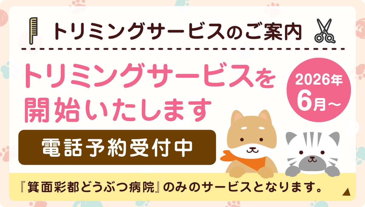 【トリミングサービスのご案内】2026年6月~トリミングサービスを開始いたします。電話予約受付中。『箕面彩都どうぶつ病院』のみのサービスとなります。