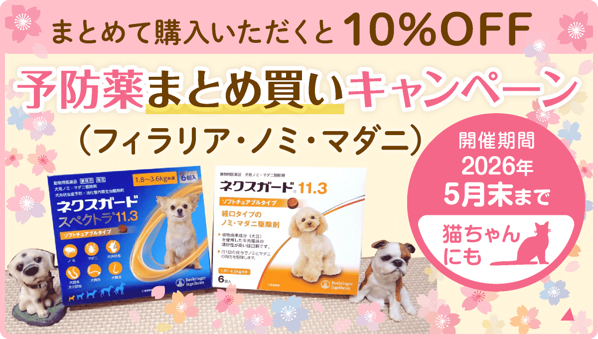 予防薬まとめ買いキャンペーン (フィラリア・ノミ・マダニ)※猫ちゃんにも付けるタイプでご用意してます。まとめて購入いただくと10%OFF。開催期間:2026年5月末まで