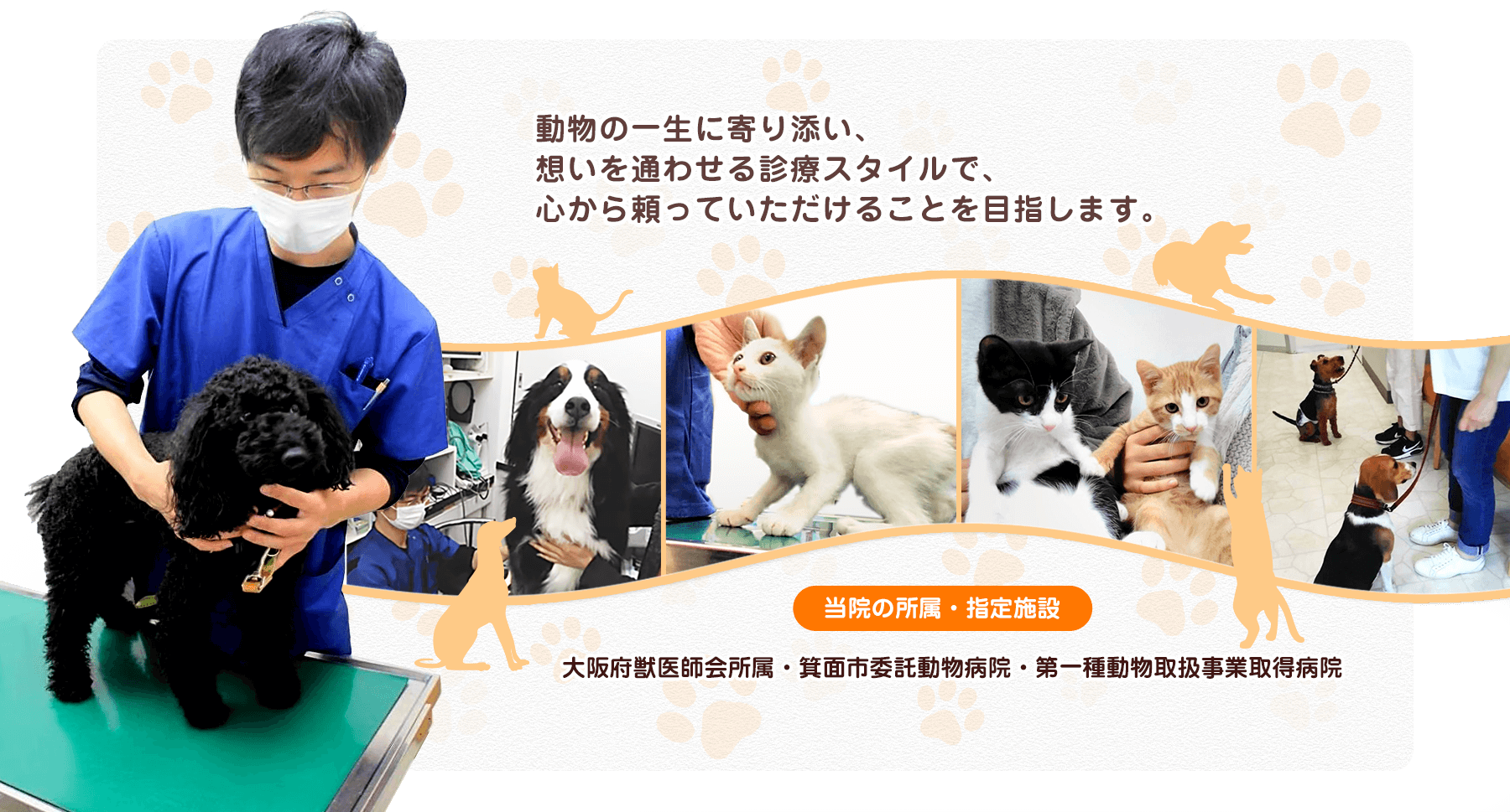 動物の一生に寄り添い、想いを通わせる診療スタイルで、 心から頼って頂けることを目指します。